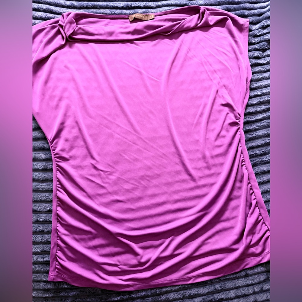 The Limited Sleeveless Purple Blouse